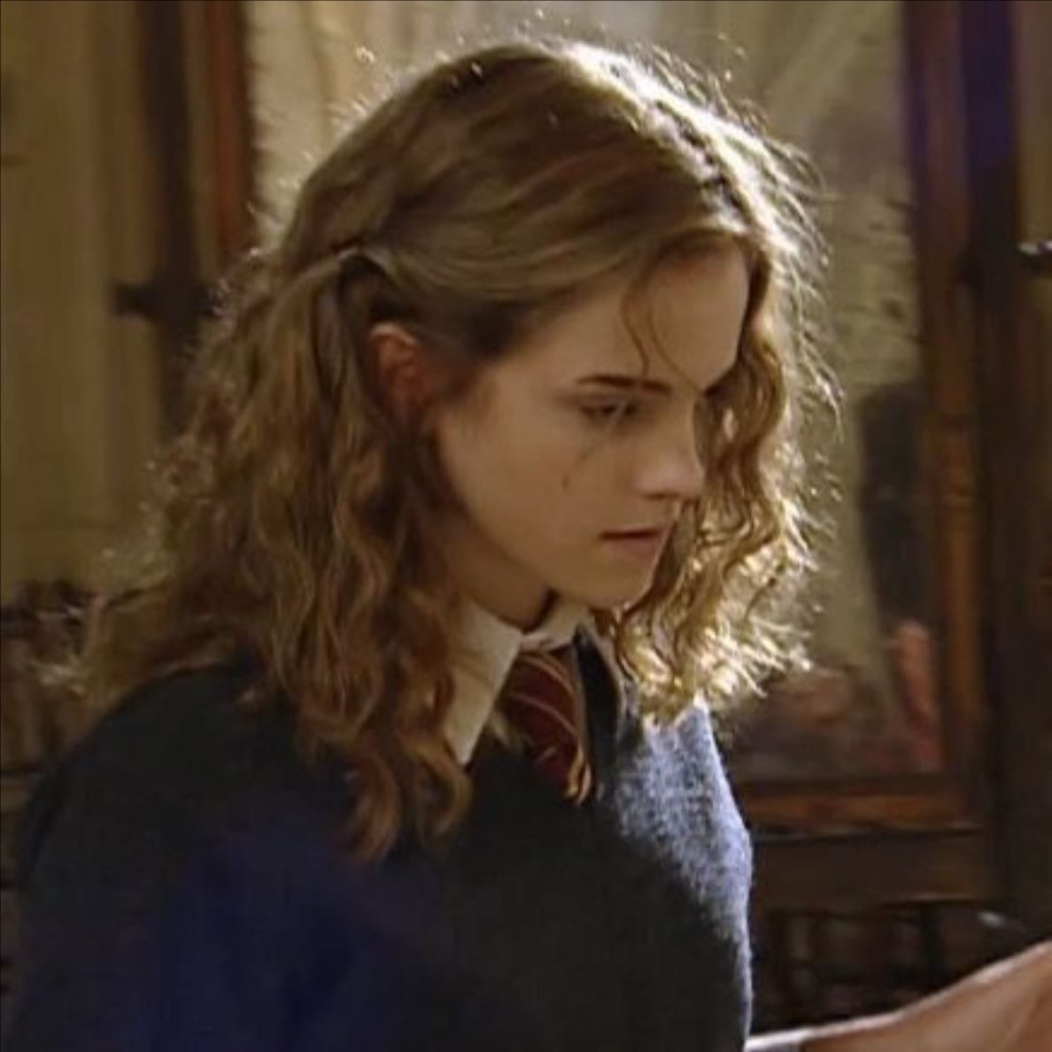 Hermione Granger - Harry Potter