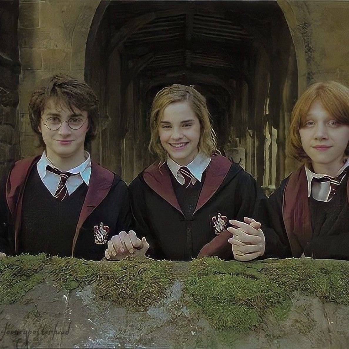 Harry Potter and the Goblet of Fire - Mike Newell · 2005
