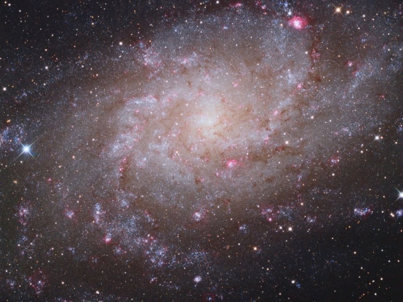 galaxia del triángulo - (icónica)