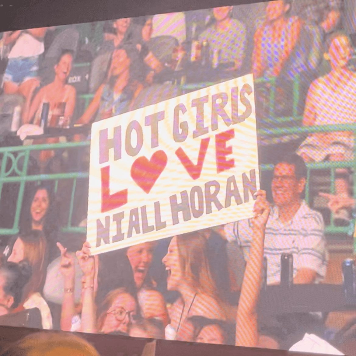 HOT GIRLS LOVE NIALL HORAN - one of my fav signs