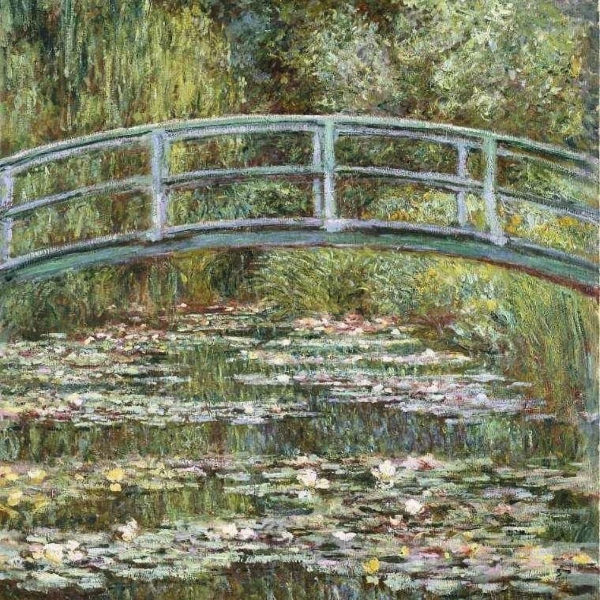 A Lagoa de Lírios D’Água
