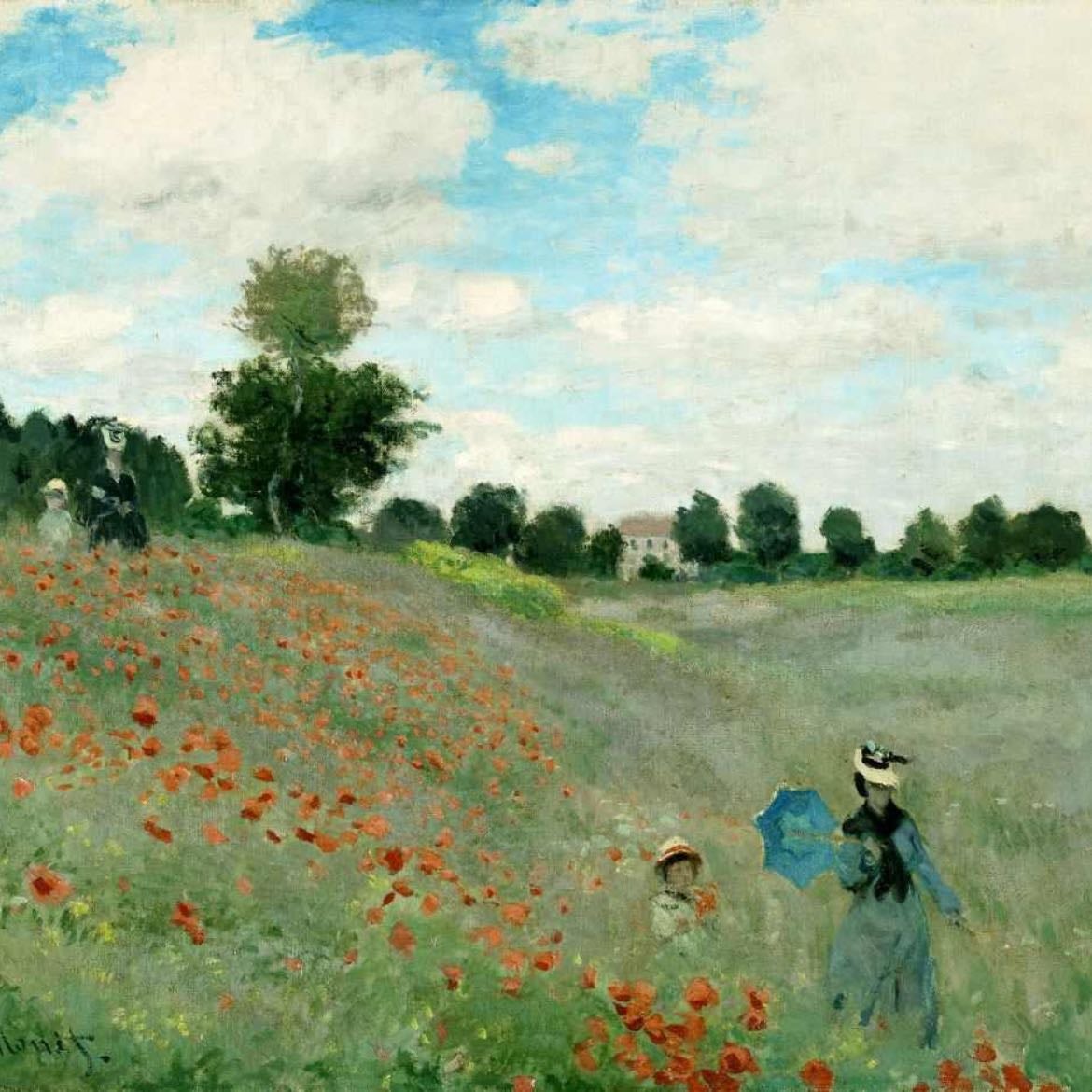 Campo de Papoulas