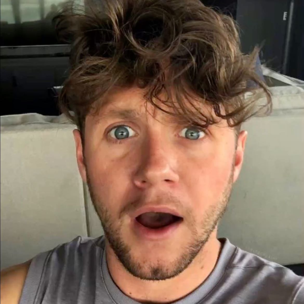 Niall Horan - i love niall so so much! he is literally my favourite human being ever! he has helped me through really tough times with his music and personality. he has always been my favourite ever since i was little and i love him to pieces ๐