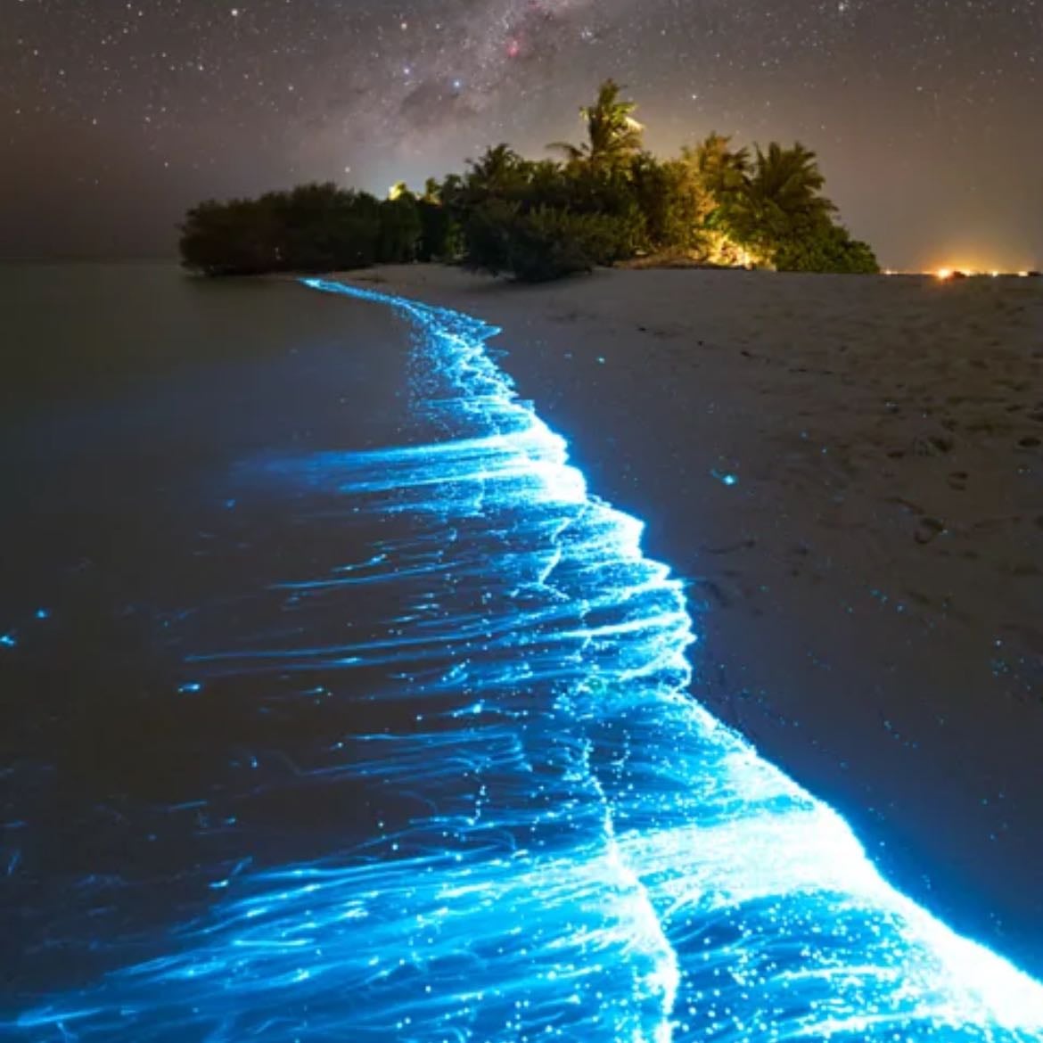 Sea of Stars, Maldives