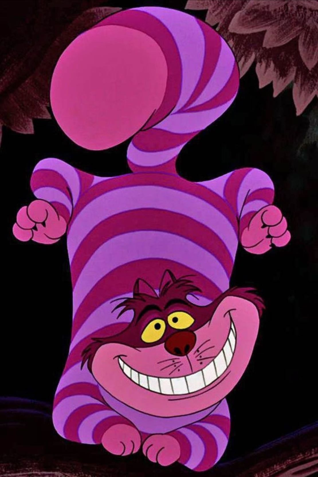 El gato de sheshire - https://vt.tiktok.com/ZS51mUVuy/