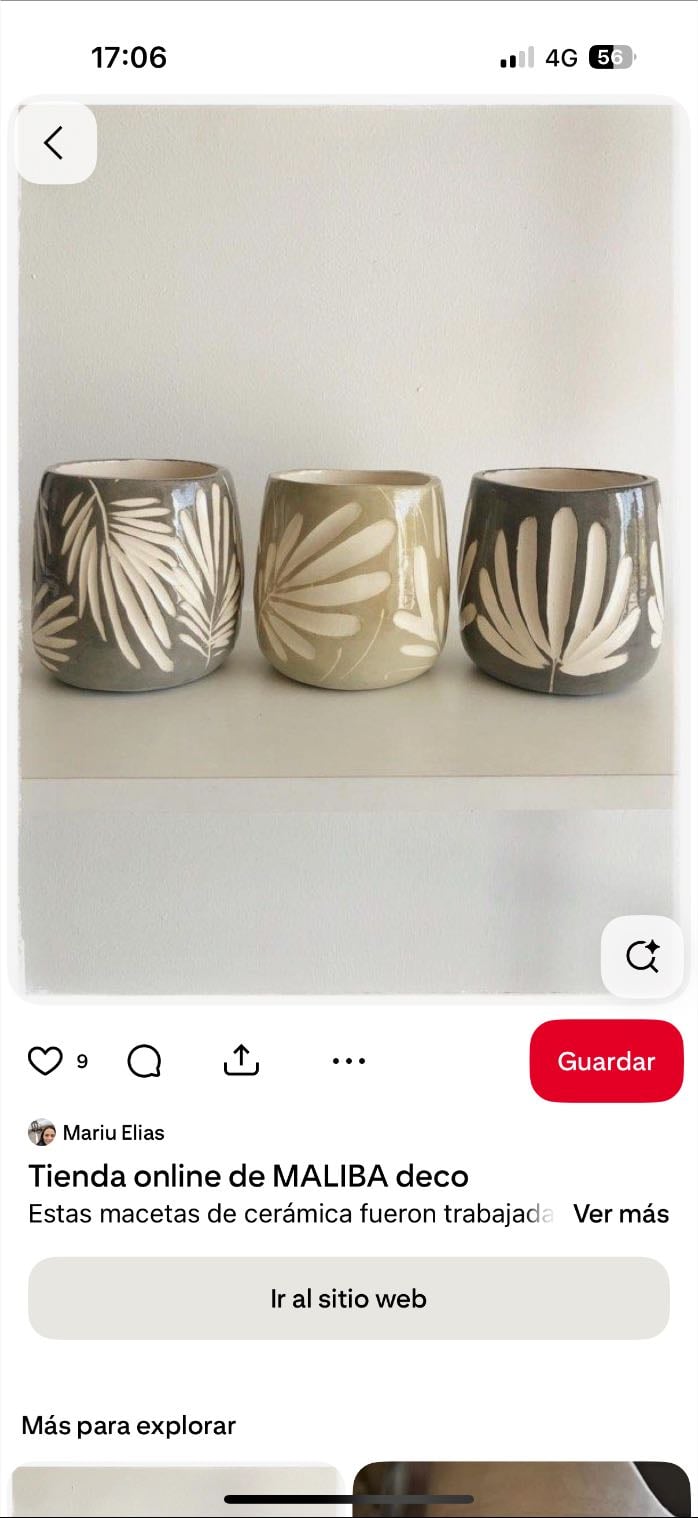 vasos botánicos