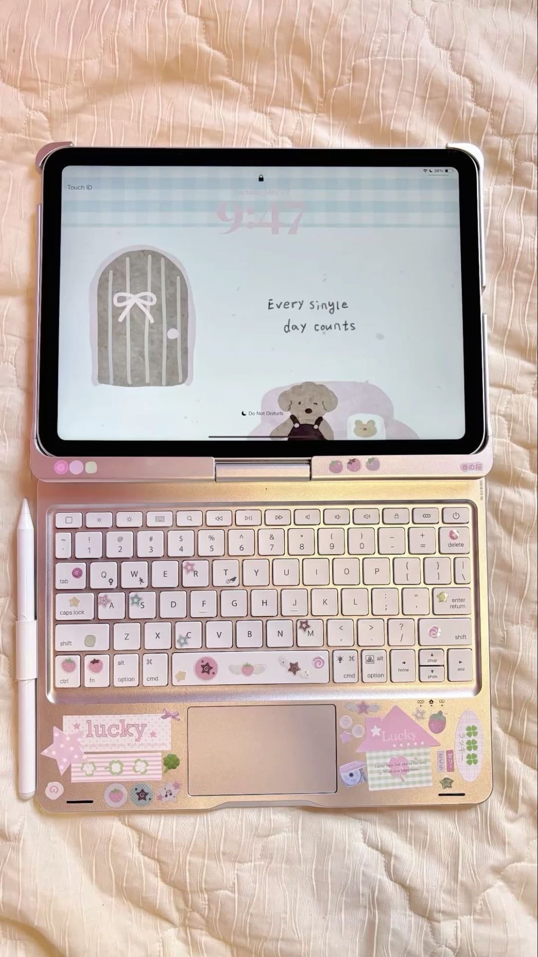 iPad details