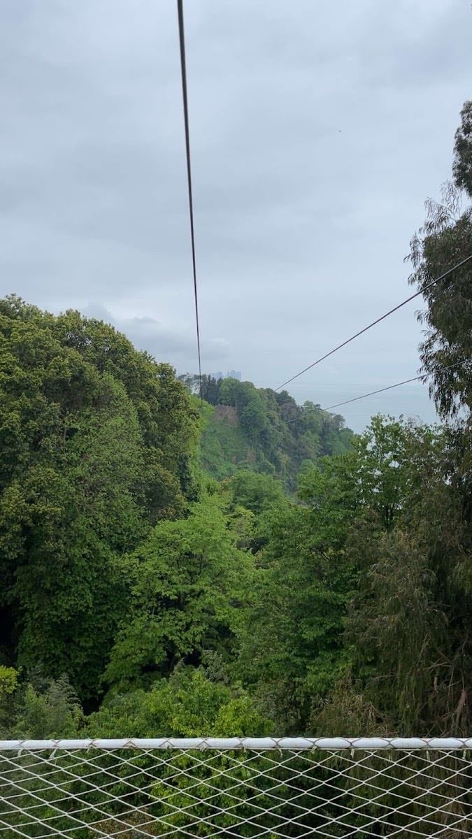 Batumi Zipline - Cool