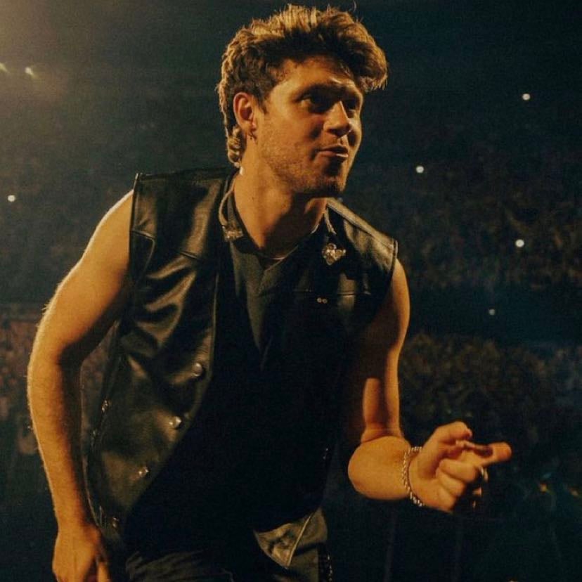 The hair
