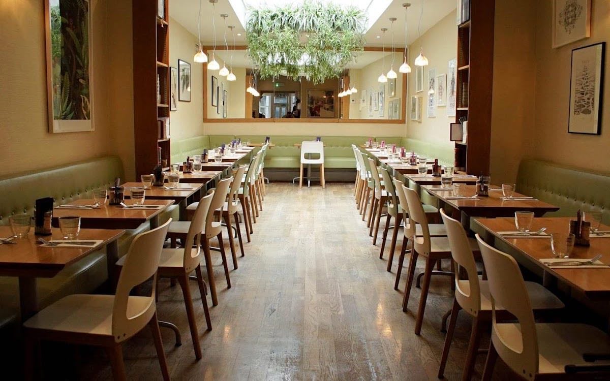 Mildreds Soho - Vegetarian