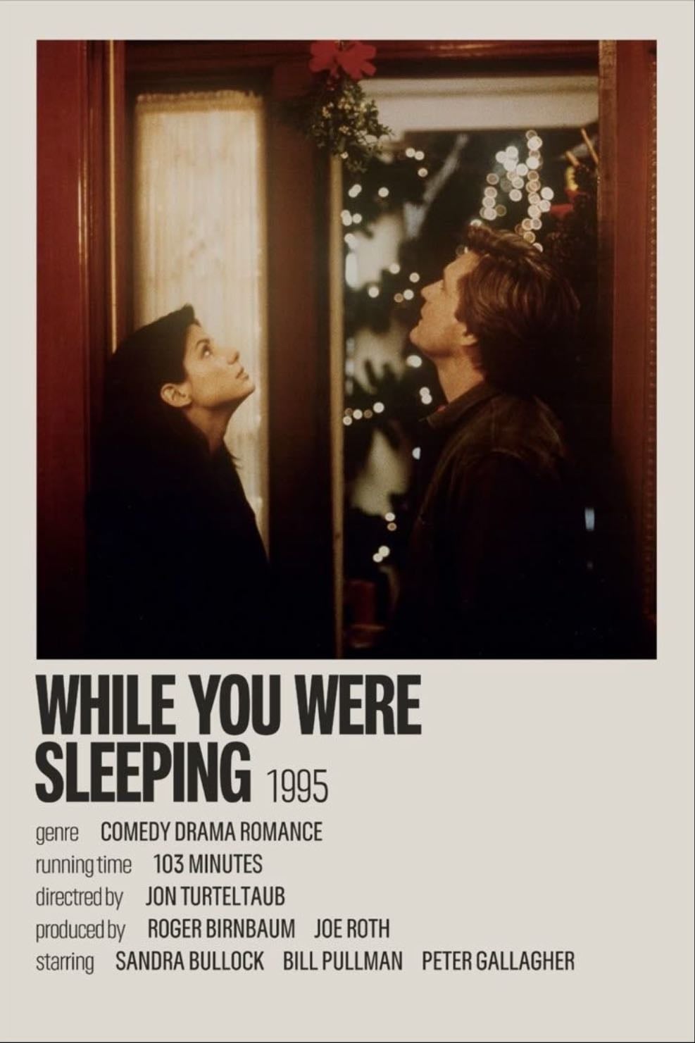 while you were sleeping - mientras dormías