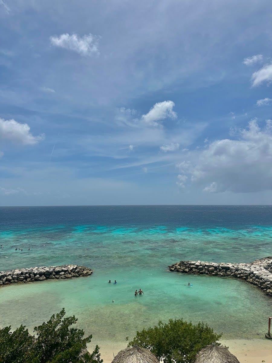 Palm Island