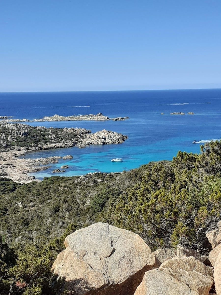 Corsica