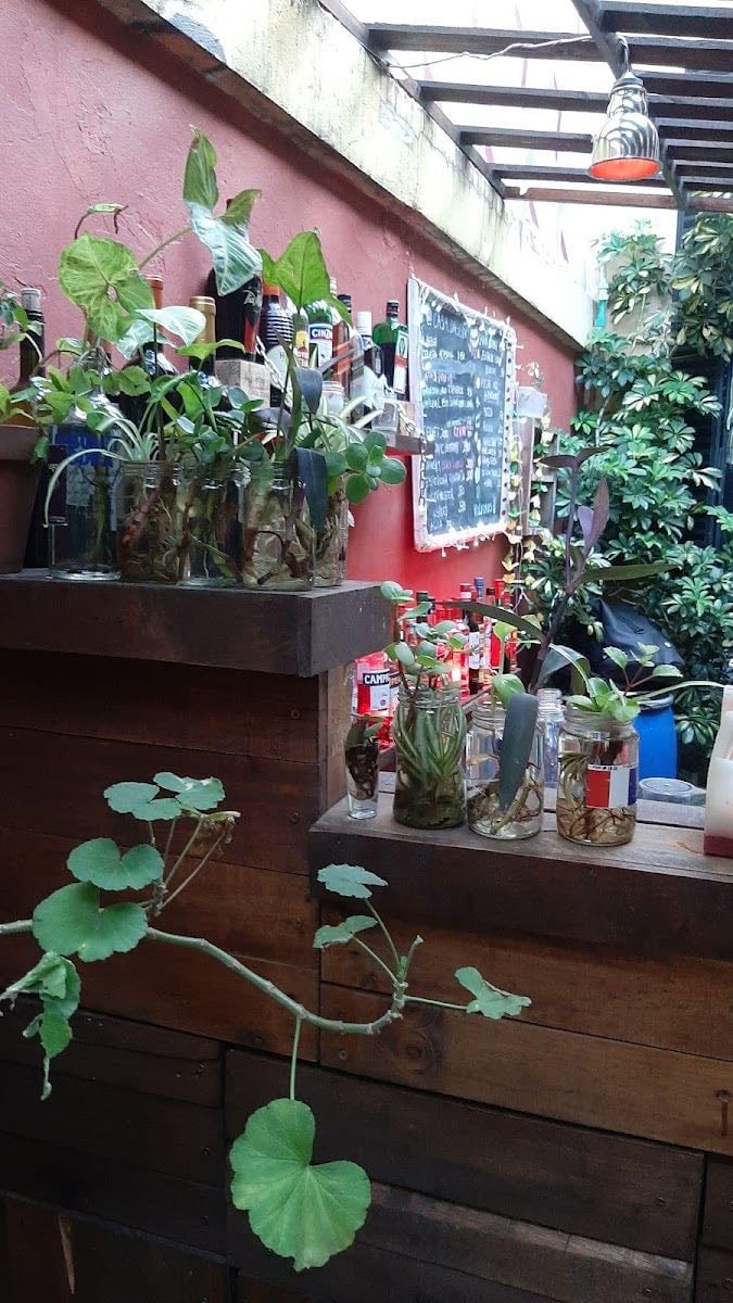 Casa Dasein