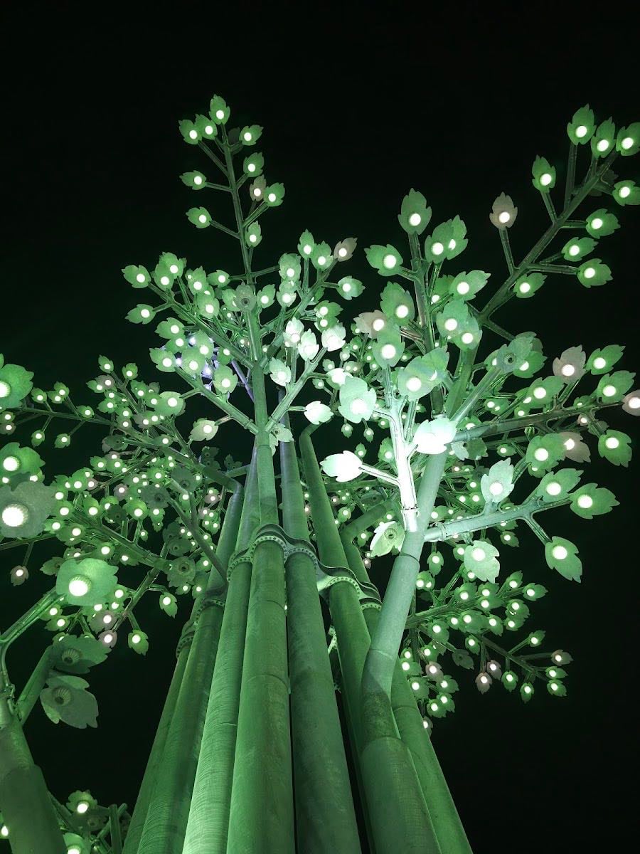 Árbol de la innovacion