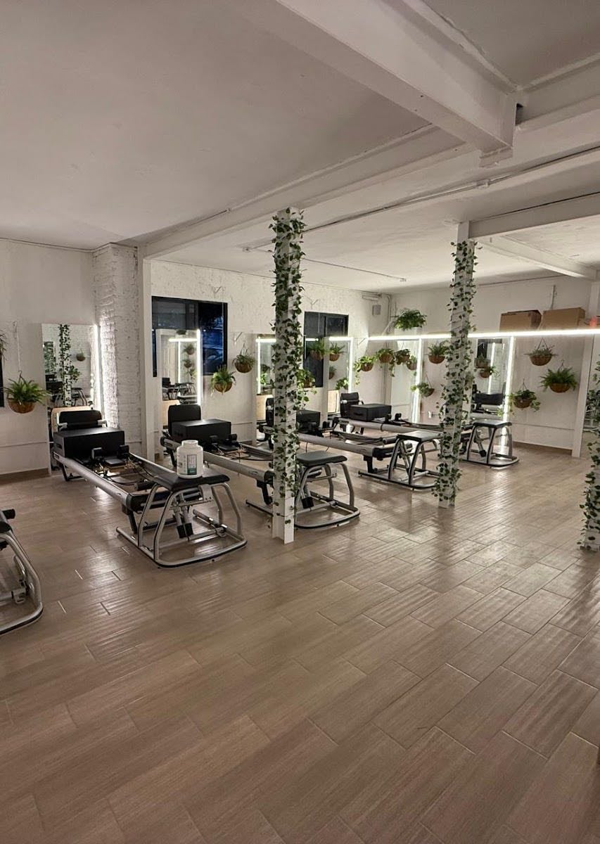 The Fit Pilates Condesa