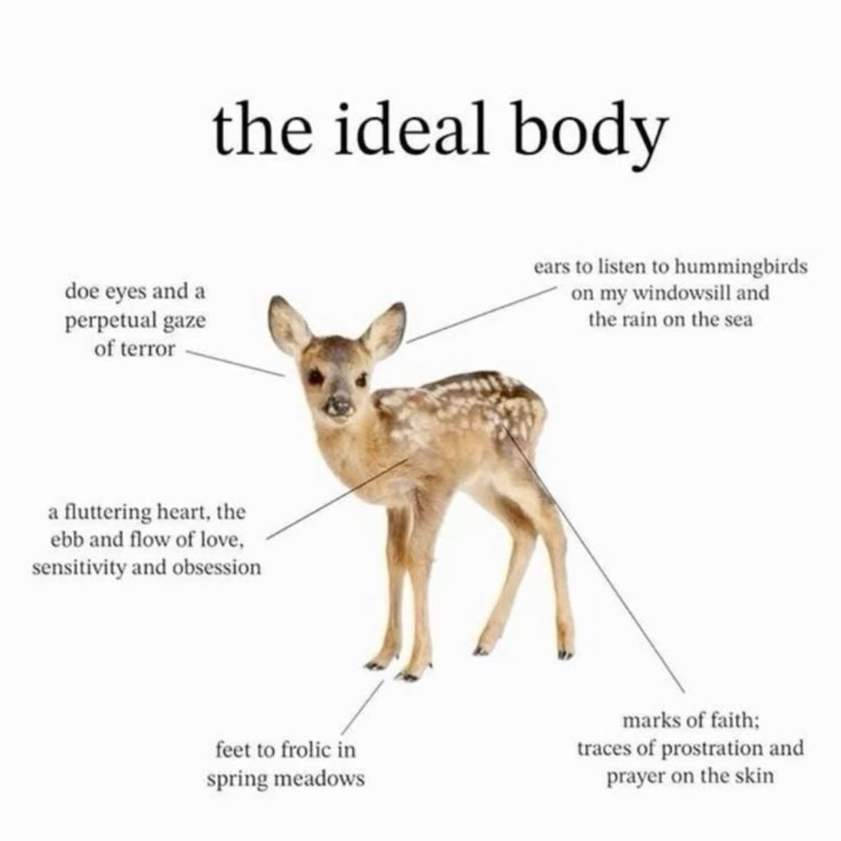 Deer simbolism