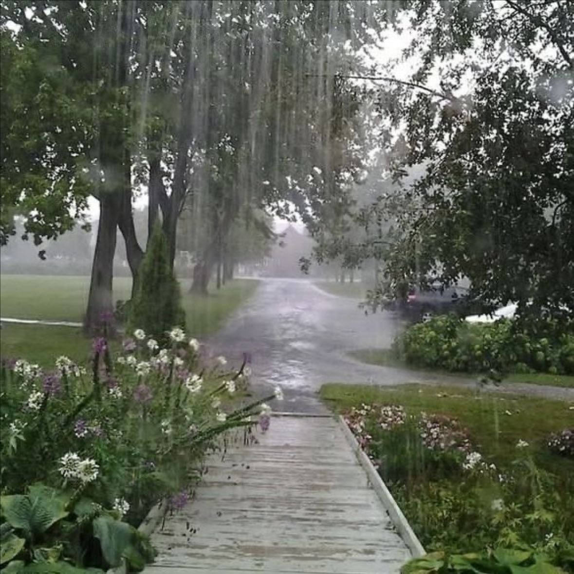 Rain