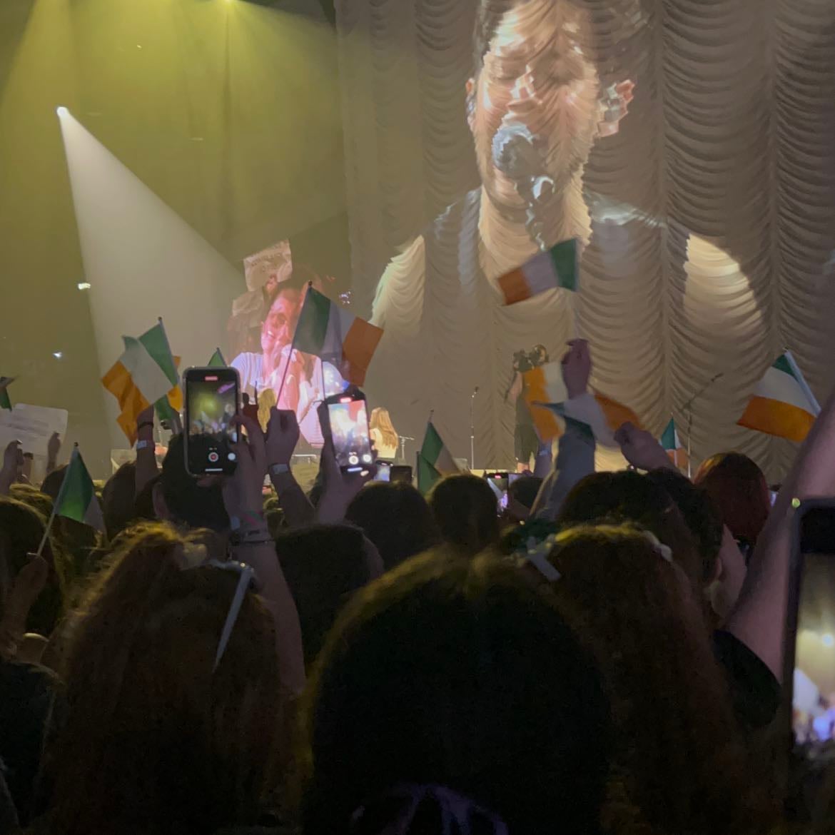 1st March, London - the Ireland flags just look so cute. I took this. best night ever 🇮🇪