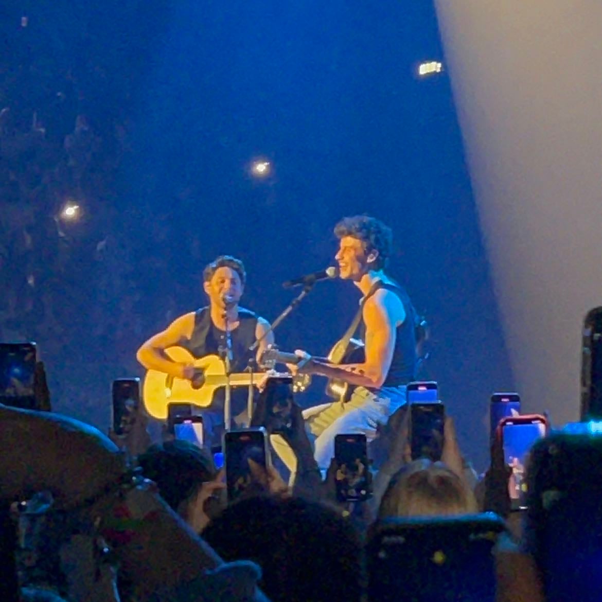 Niall horan x shawn mendes - LIKE WHAT