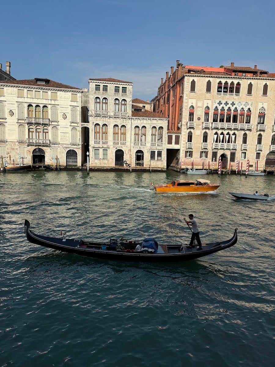 Palazzina Grassi - The only club in Venice, very chic :)