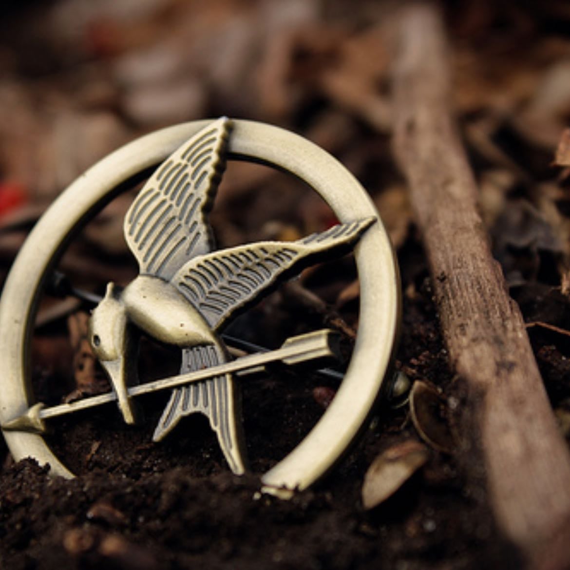 The Hunger Games - Gary Ross · 2012