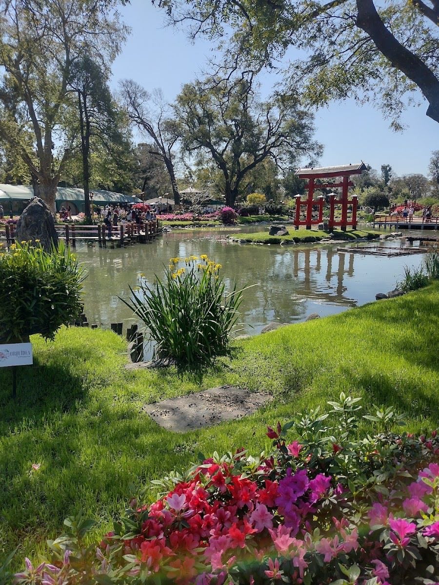 jardín japones