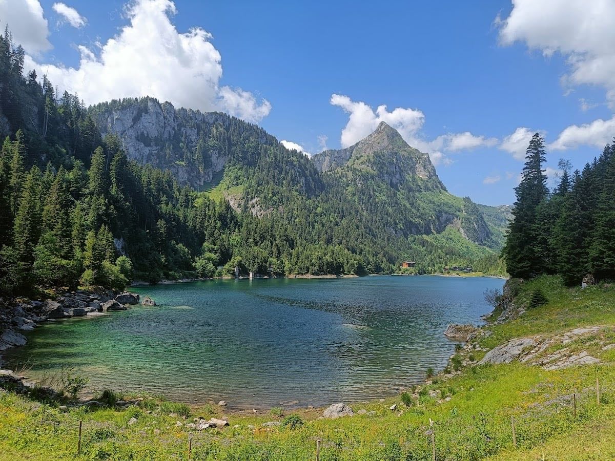 Lac de Taney