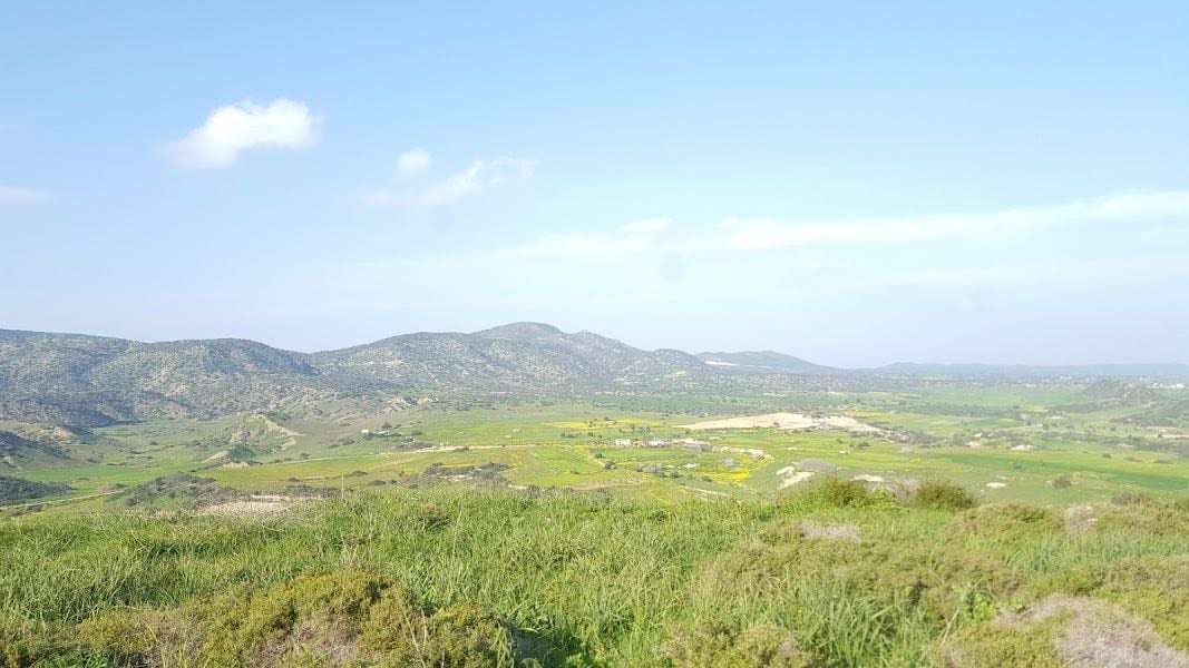 Elisis