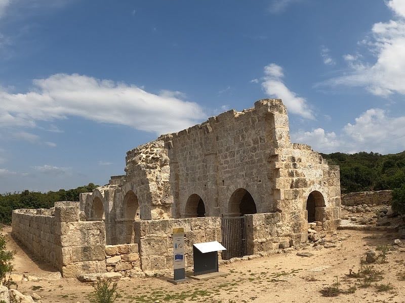 Aphendrika