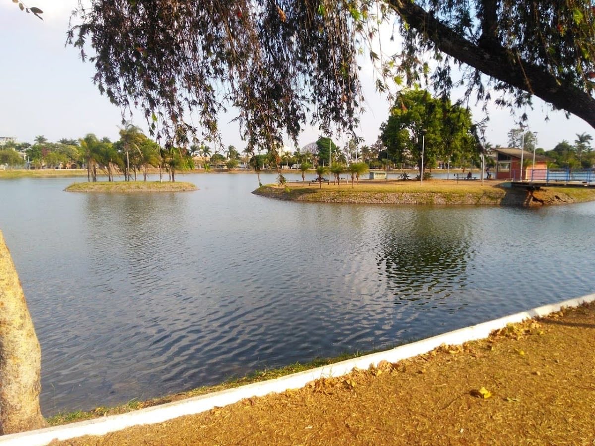 Patos de Minas