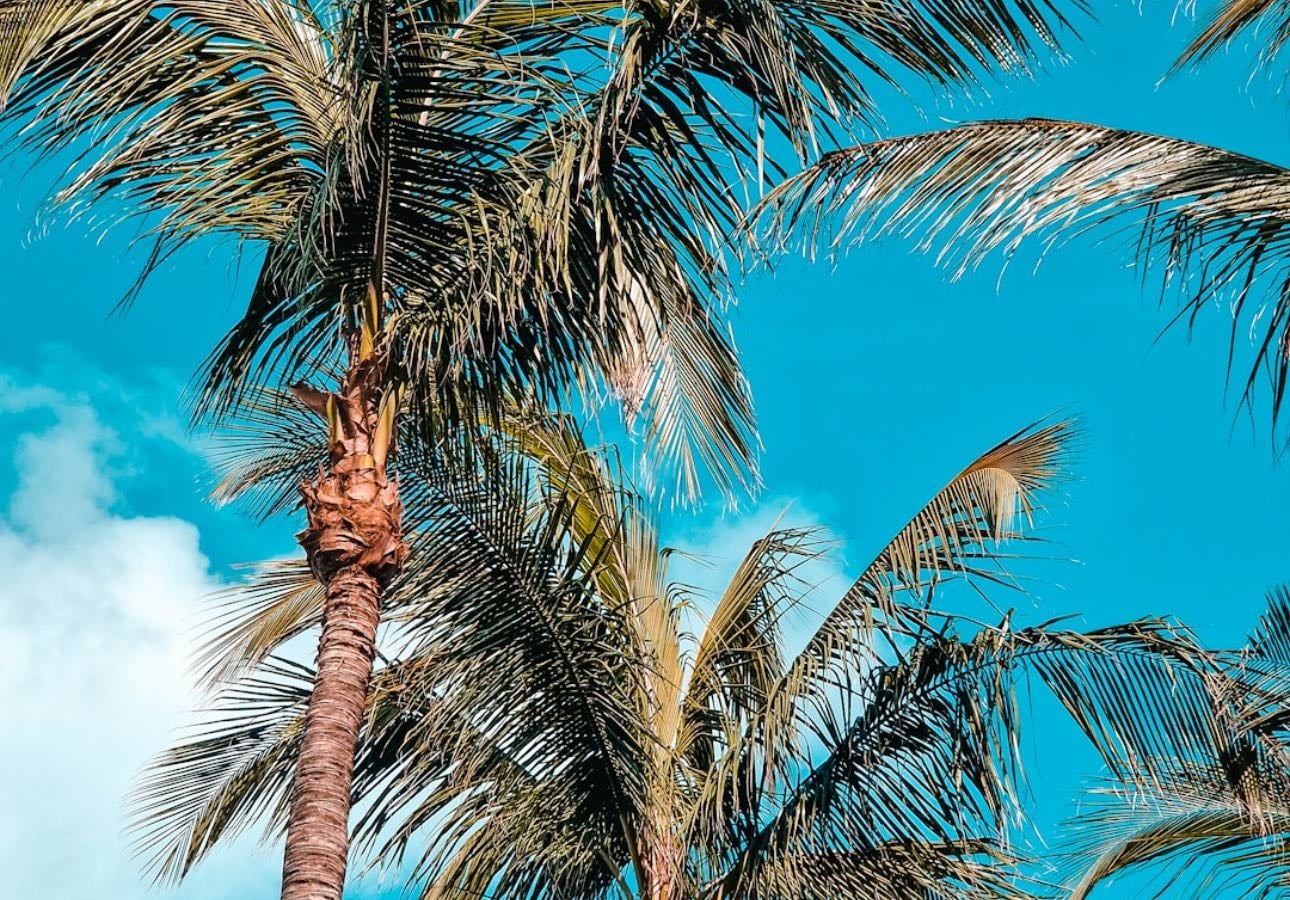 Cancún