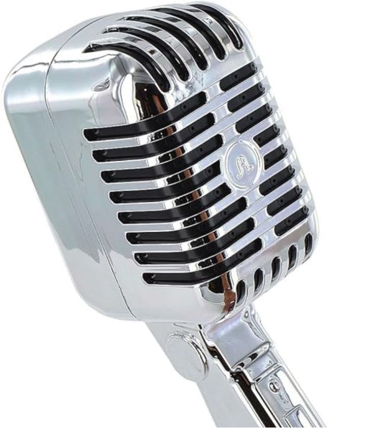 Microphone Shower Head
