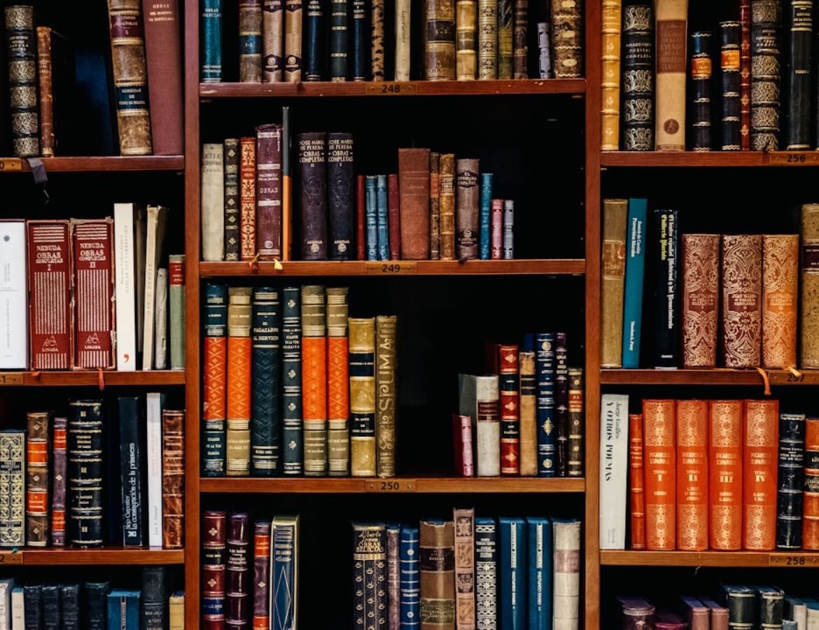 my bookshelf