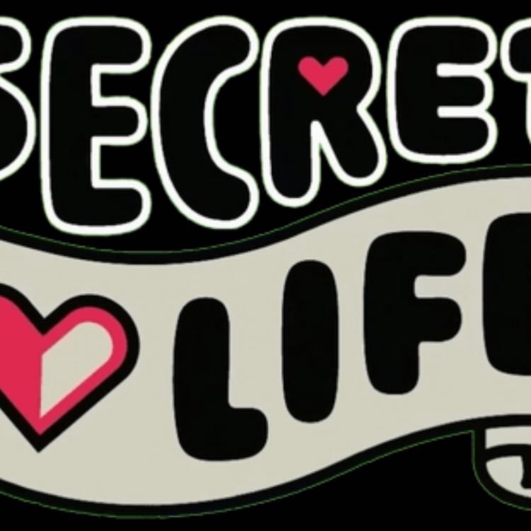 Secret Life SMP - YouTube