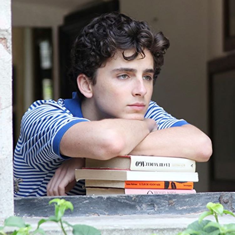Timothée Chalamet - Call Me By Your Name