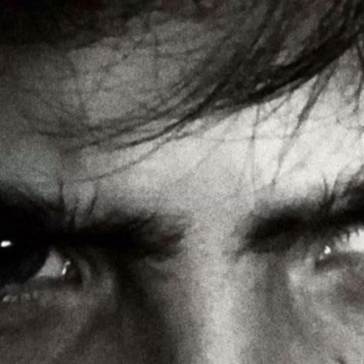 angry eyebrows - but when you look in his eyes you realize how soft they are