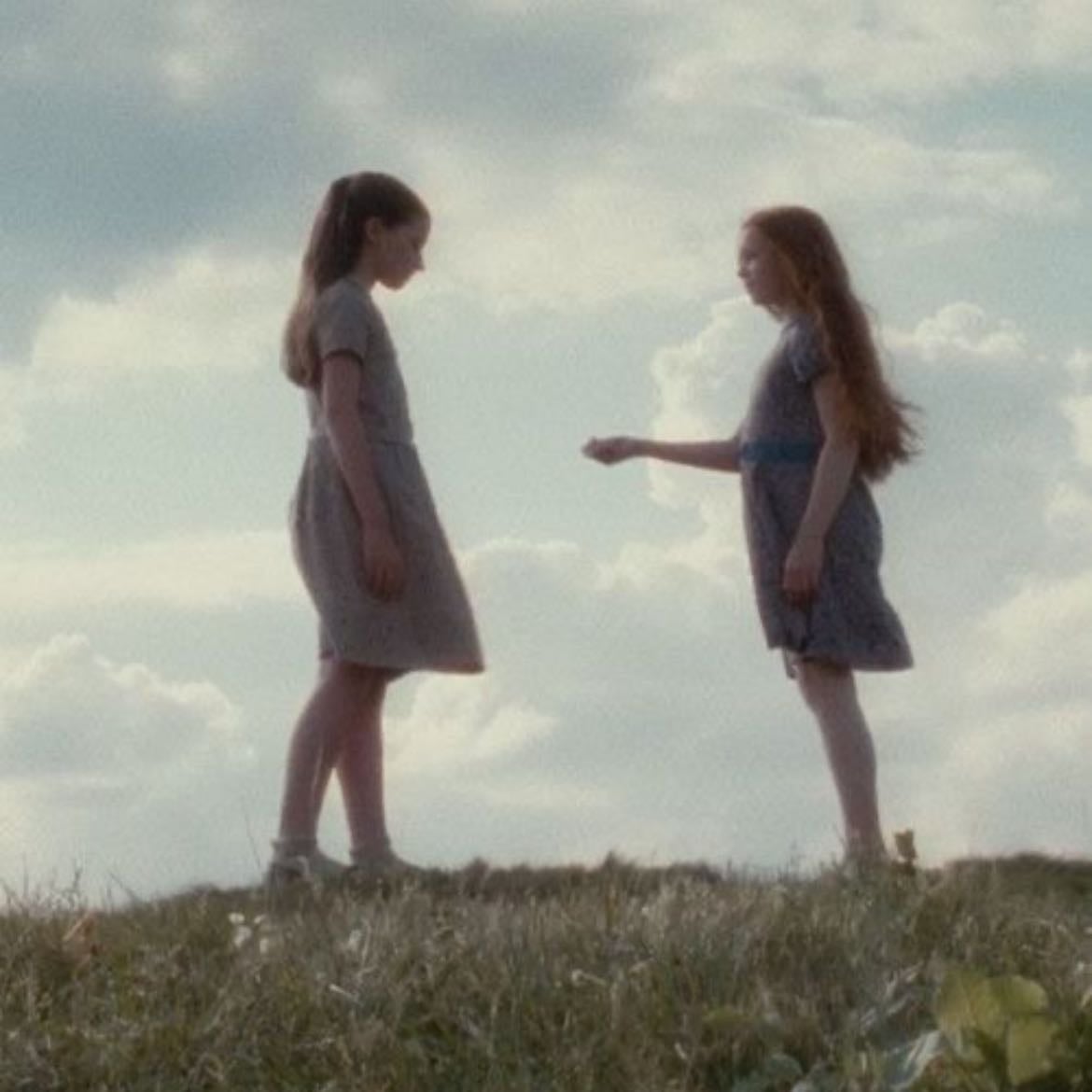 lily and petunia