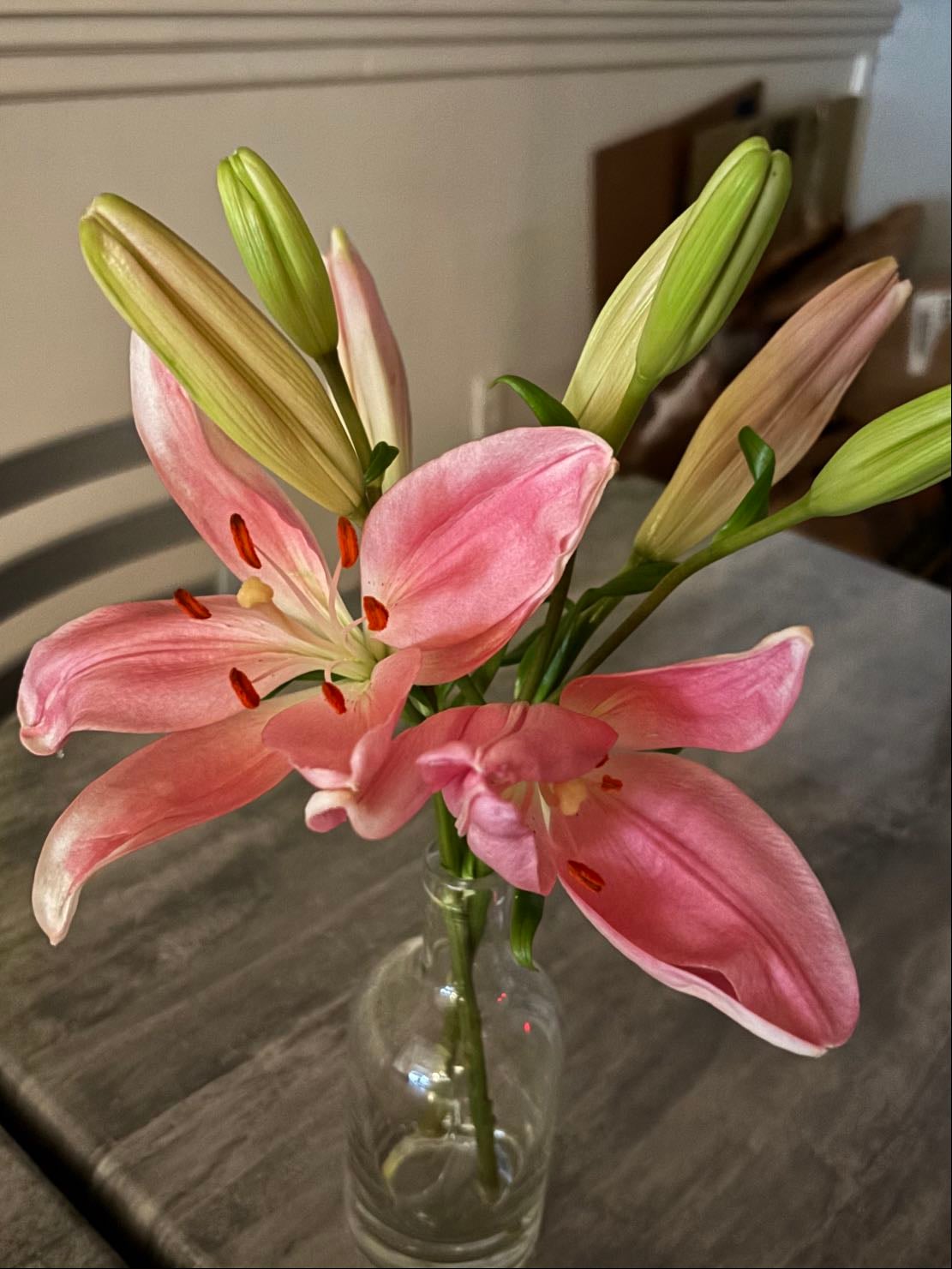 lilies @ work