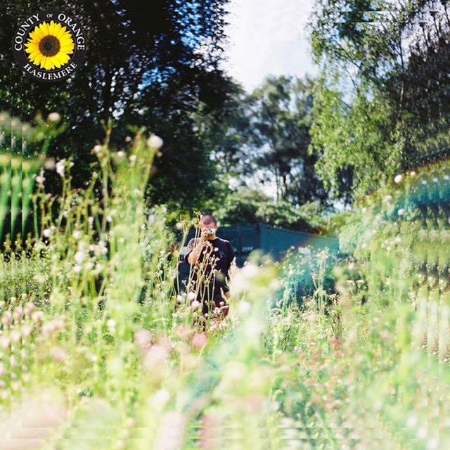 Sunflower - Song · Rex Orange County