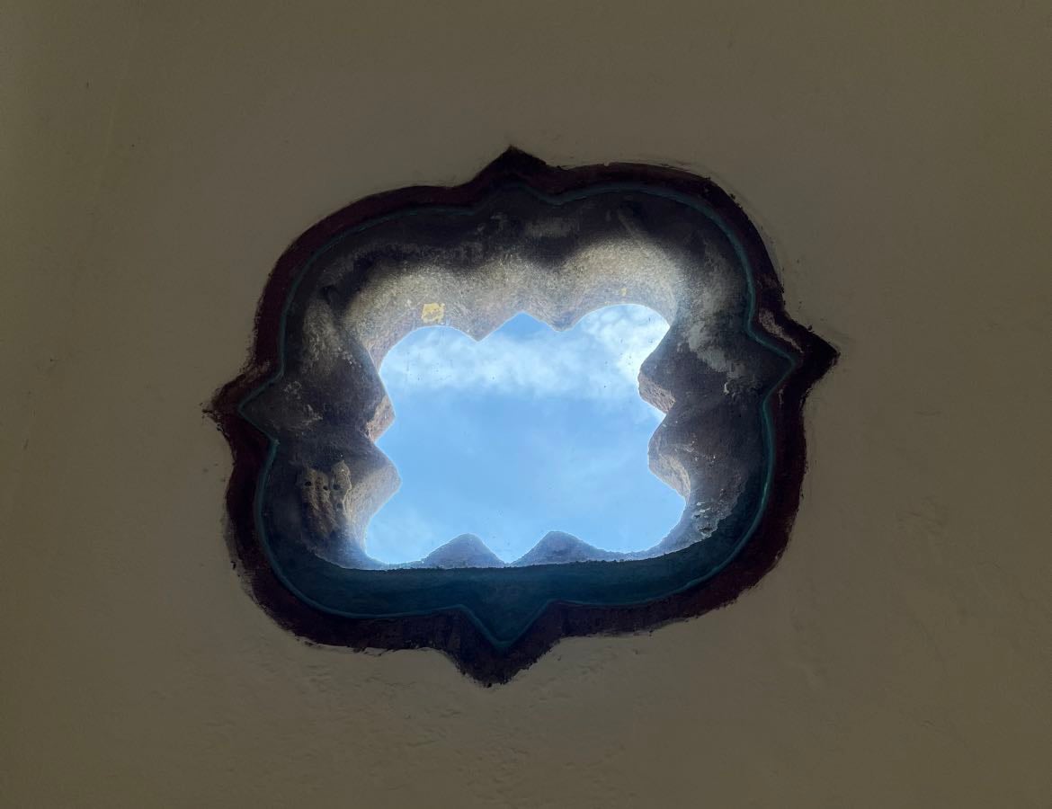 Artículos, videos, podcasts 🧠