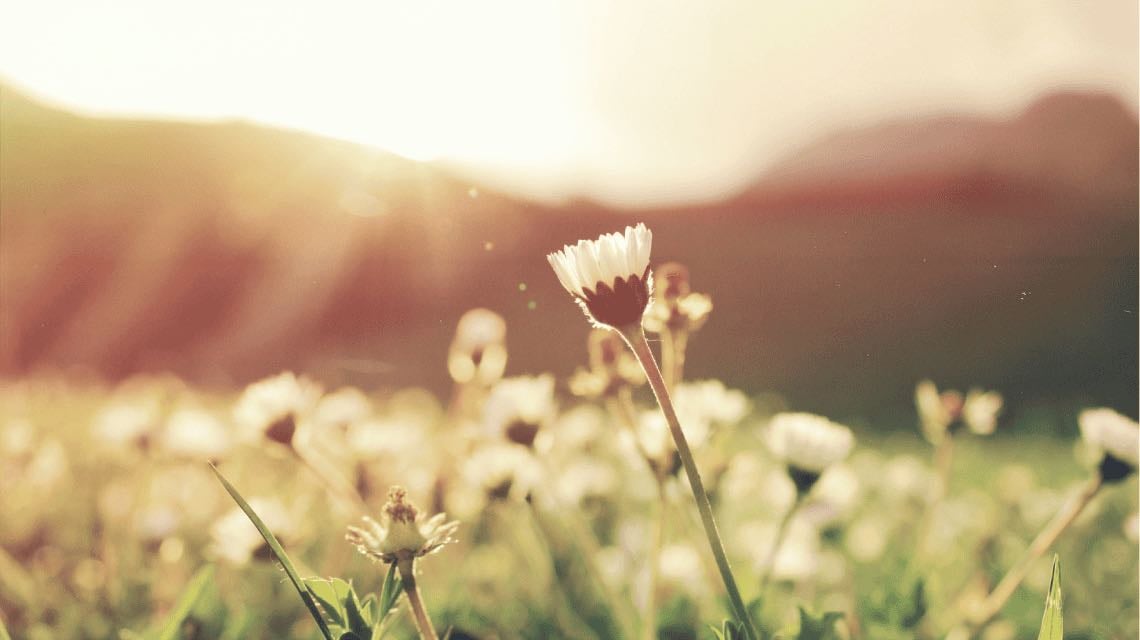 Modus vivendi: La primavera espiritual que viene - Este PaĂs - Este PaĂs