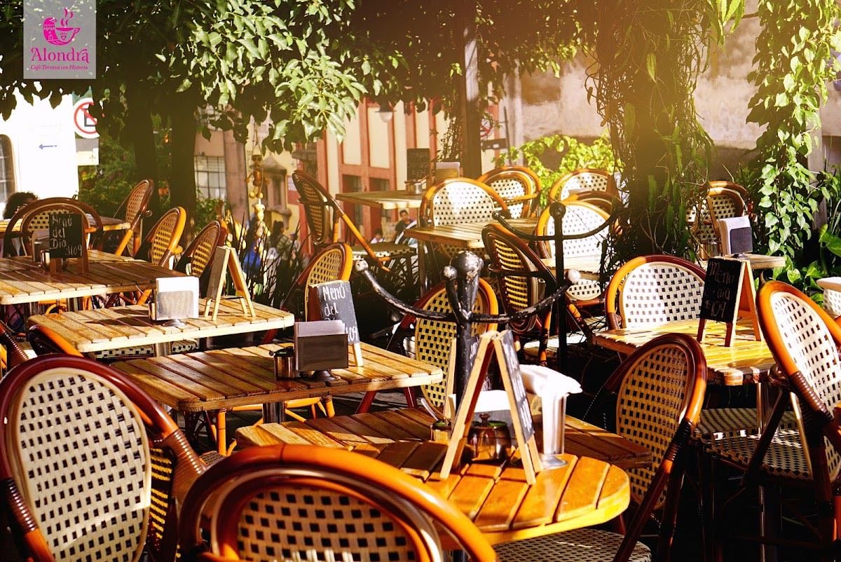 Café Alondra Sucursal Centro