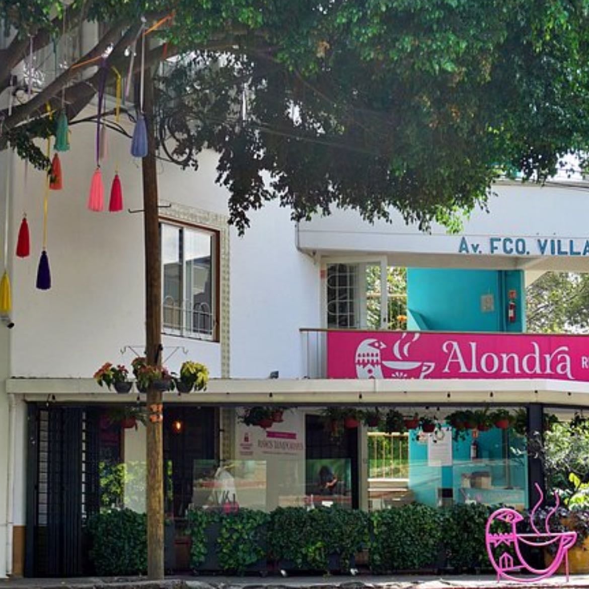 Café Alondra, Sucursal Norte