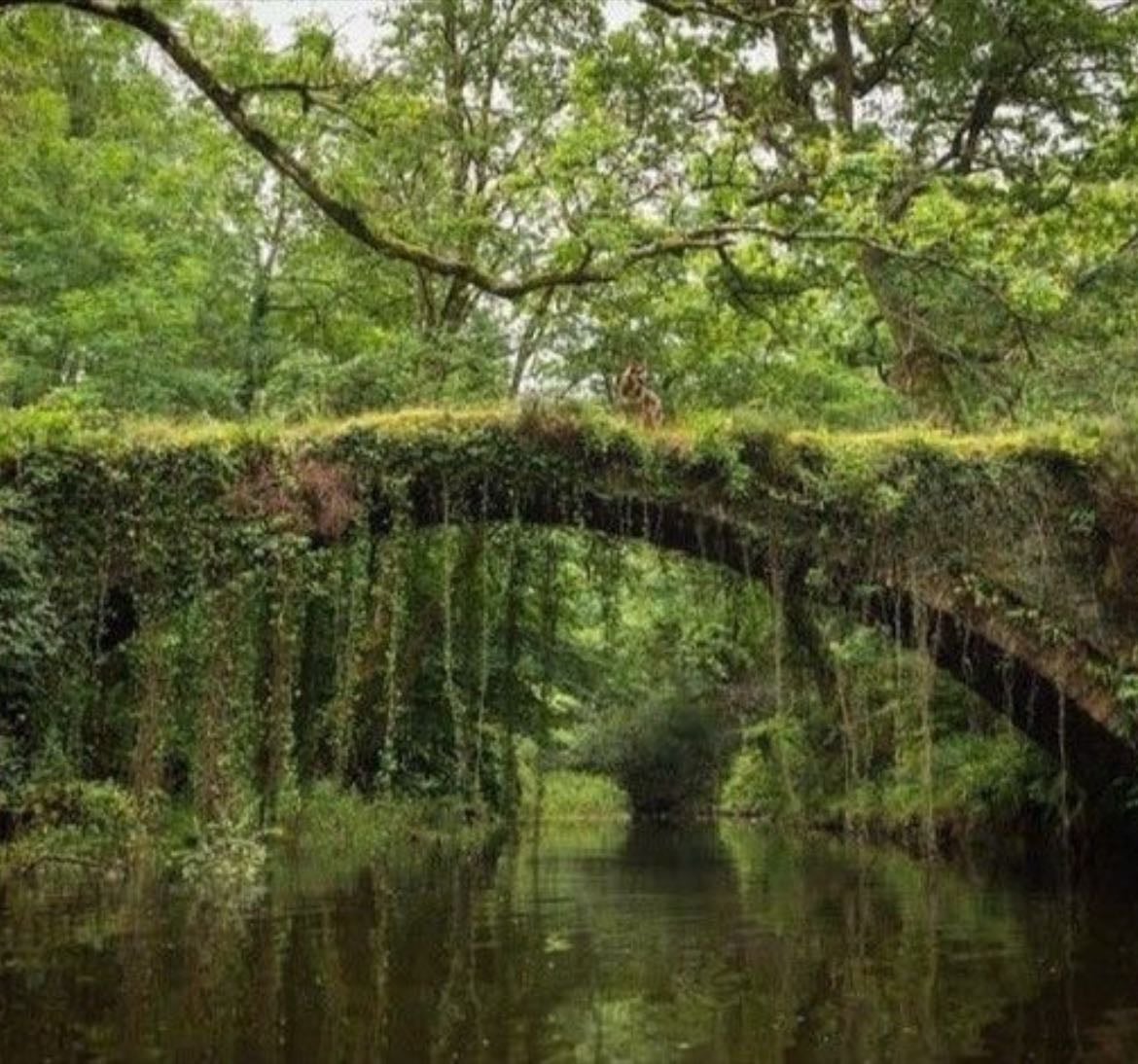 places that would fix me