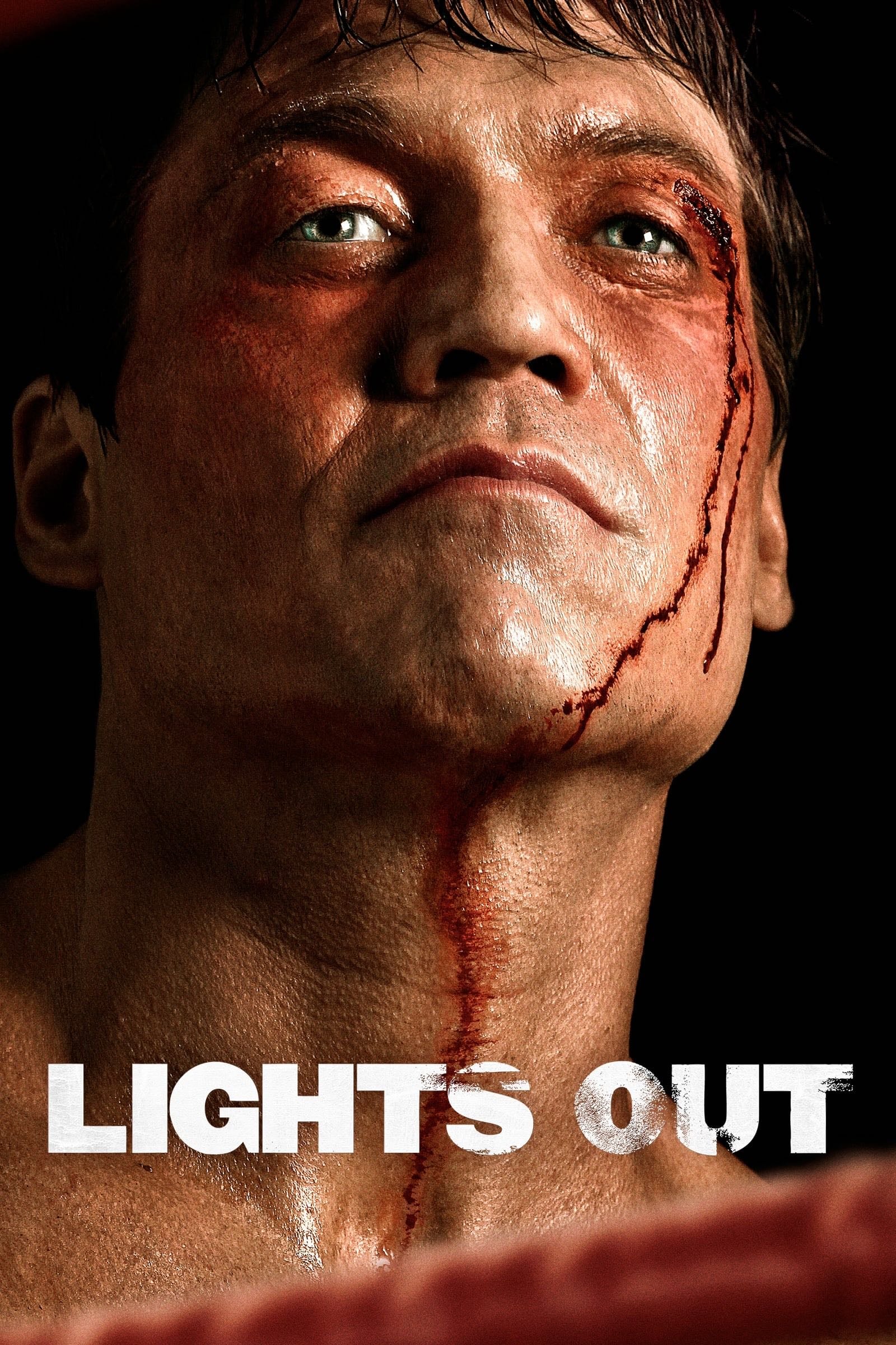 Lights Out - Justin Zackham · 2011