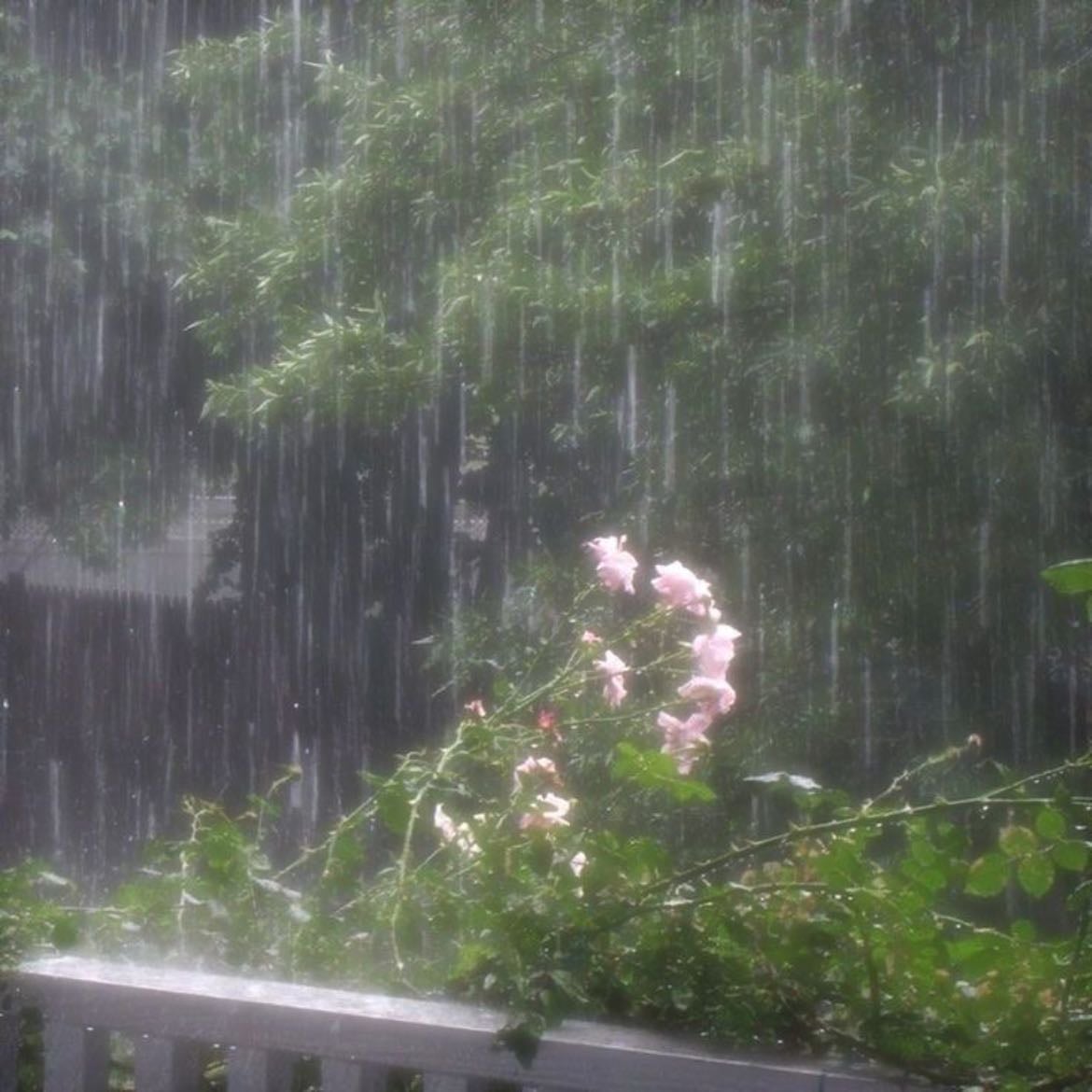 rainy days