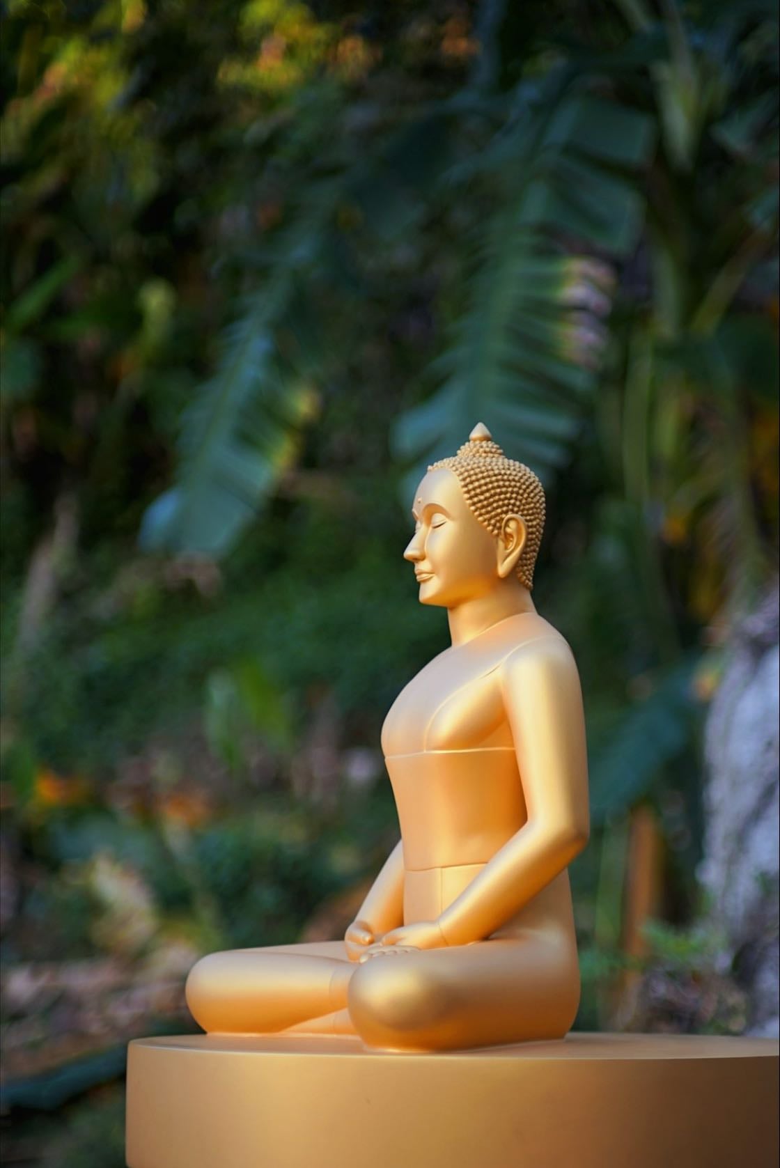 Meditación Guiada - ⏳ 10–15 min diarios.