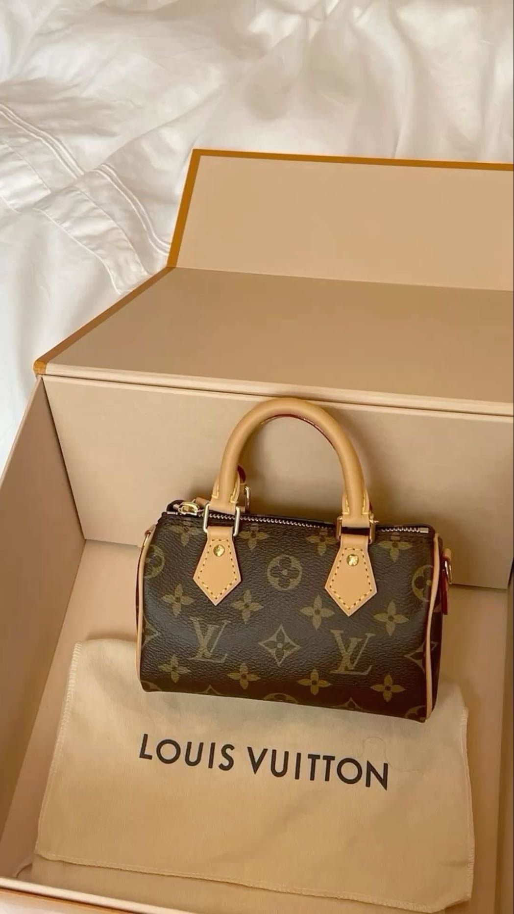 Sac louis vitton