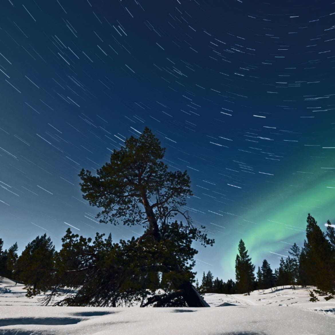 Noruega